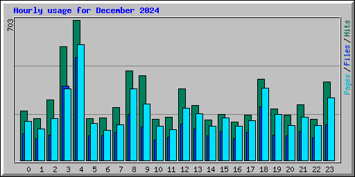 Hourly usage for December 2024