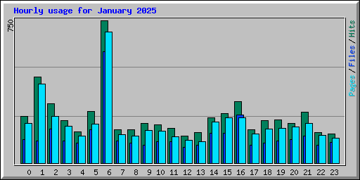 Hourly usage for January 2025