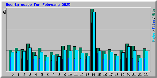 Hourly usage for February 2025